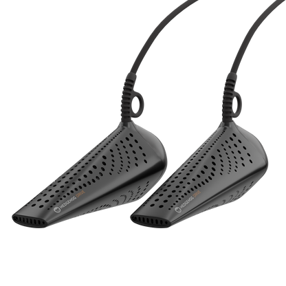 Hedgehog DRIVE - 12 volt for car